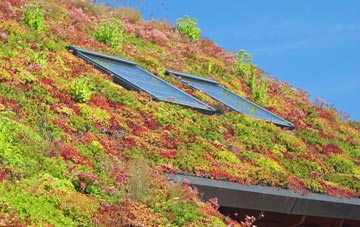 Blackshaw Head living roof systems